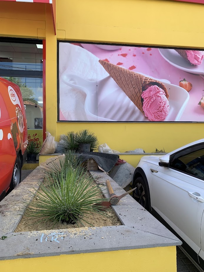 Canteiro comercial com plantas de baixa manutenção