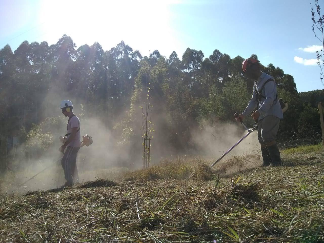 Equipe New Garden fazendo limpeza de terreno com roçadeiras