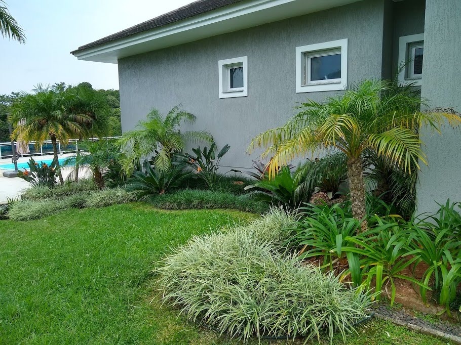 Jardim residencial com palmeiras e folhagens variadas